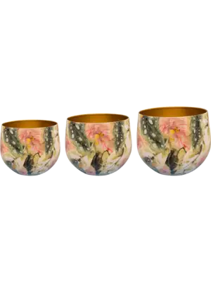 Pot Monstera Mystery (set of 3)