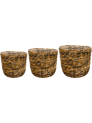 Pot Desert (set of 3)