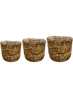 Pot Desert (set of 3)