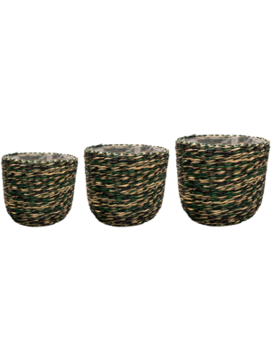 Pot Jungle (set of 3)