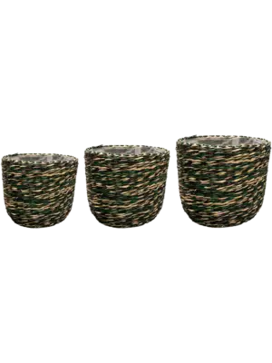 Pot Jungle (set of 3)