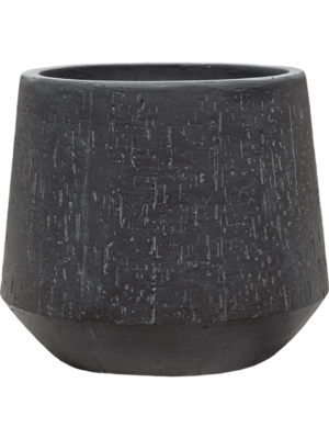 Darcy Anthracite