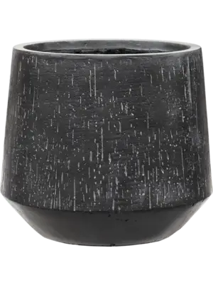 Darcy Anthracite