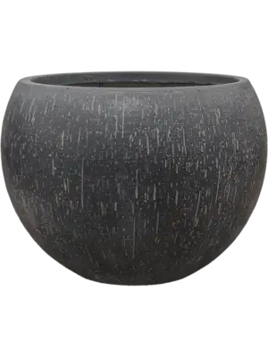 Globe Anthracite