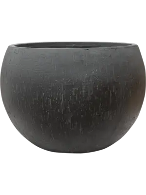 Globe Anthracite