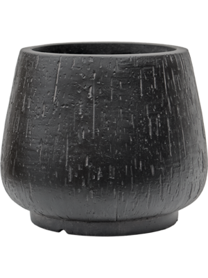 Darcy Anthracite