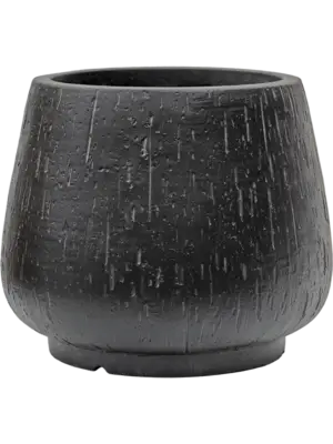 Darcy Anthracite