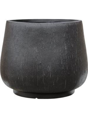 Darcy Anthracite