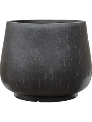 Darcy Anthracite