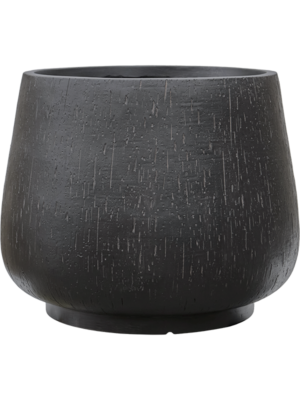 Darcy Anthracite