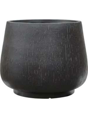 Darcy Anthracite
