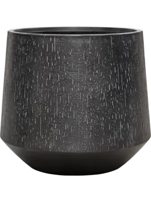 Darcy Anthracite