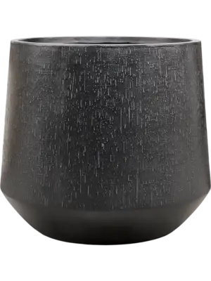 Darcy Anthracite