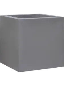 Cubicae