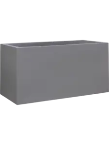 Rectangulum