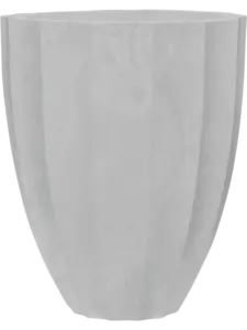 Striata