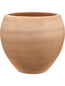 Terra Moderna