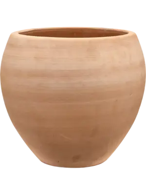 Siena Chalk White