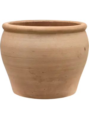 Roma Chalk White