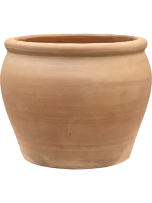 Roma Chalk White