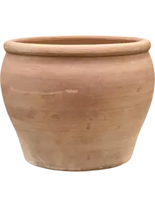 Terra Antica