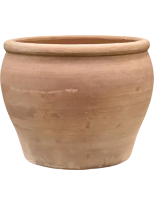 Roma Chalk White