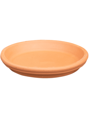 Saucer