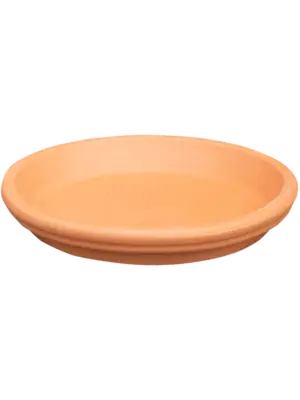 Saucer