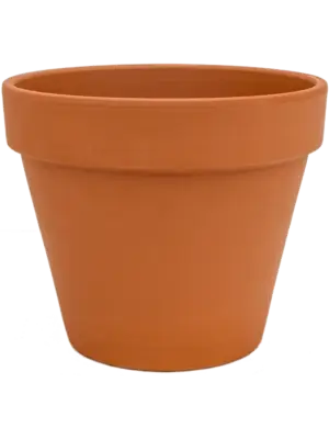 Flowerpot
