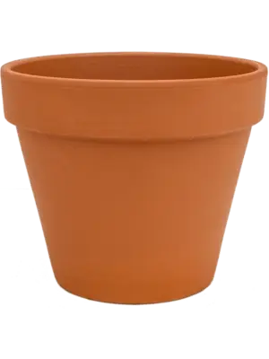 Flowerpot