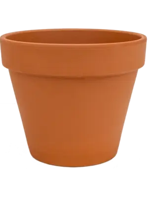 Flowerpot