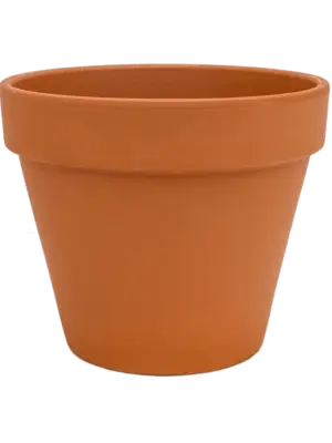 Flowerpot