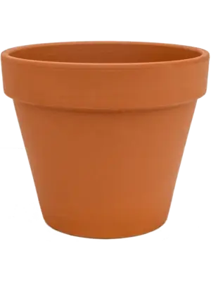 Flowerpot