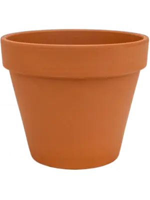 Flowerpot