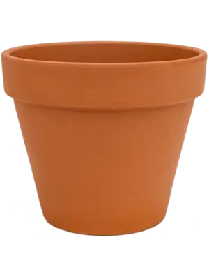 Flowerpot