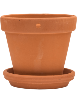 Wall Pot With Saucer