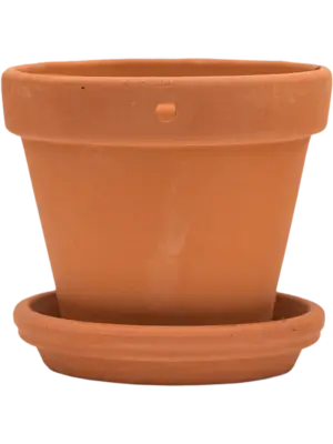 Wall Pot With Saucer