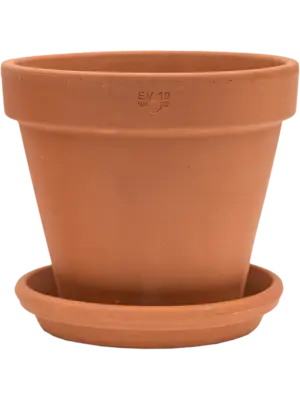 Wall Pot With Saucer