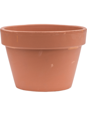 Flowerpot