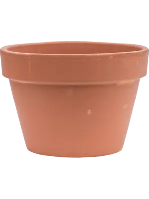 Flowerpot