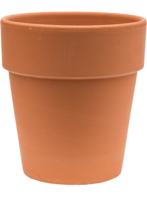 Flowerpot High