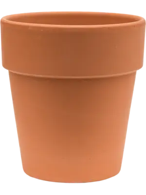 Flowerpot High