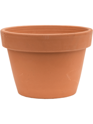 Flowerpot