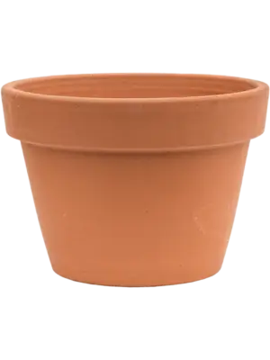 Flowerpot