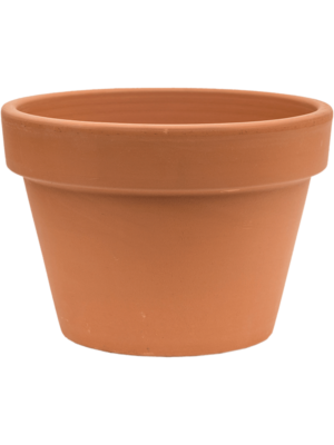 Flowerpot