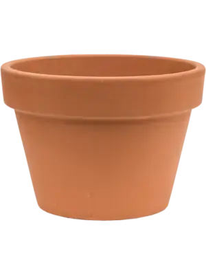 Flowerpot