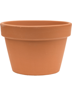 Flowerpot