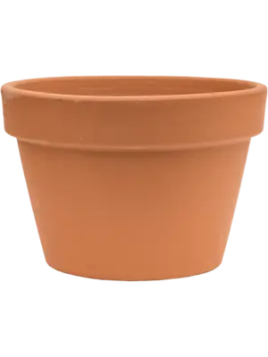 Flowerpot