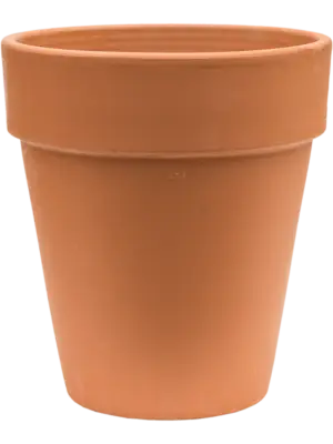 Flowerpot High
