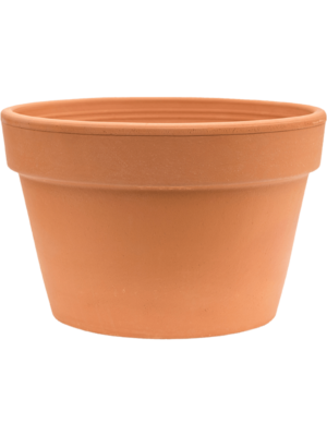 Flowerpot